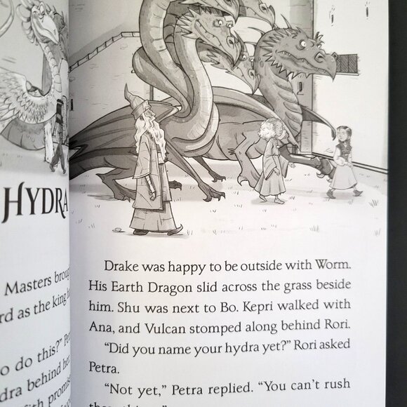 LOT OF 15 DRAGON MASTERS BRANCHES PAPERBACK KIDS BOYS BOOKS #1-20 BY TRACEY WEST - Picture 13 of 14